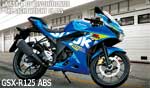 GSX-R125ABS GSX-R125ABS