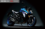 GSX-S1000 GSX-S1000