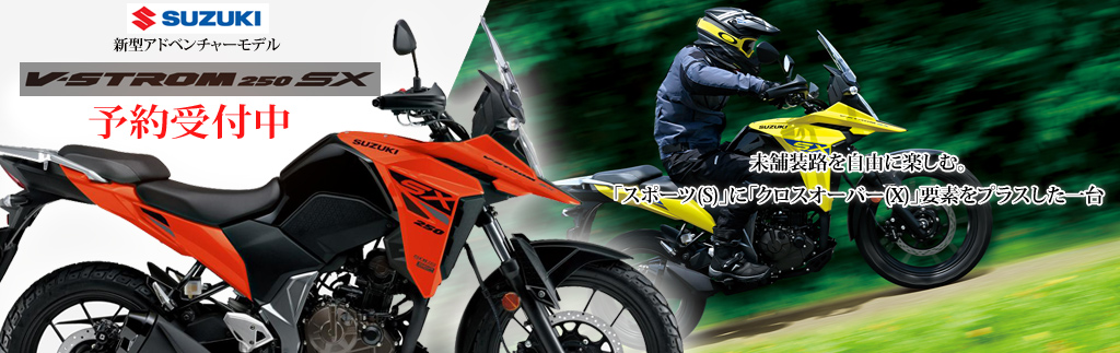 V�X�g���[��250SX V�X�g���[��250SX