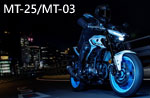 MT-25/MT-03 MT-25/MT-03