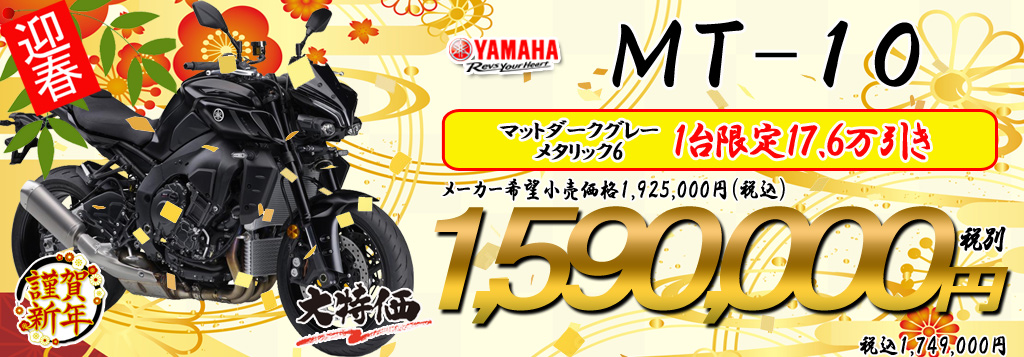 2026�N�V�t������SALE