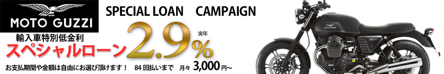 �����2.9�� ���g�E�O�b�c�B �t�@�C�i���X