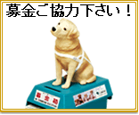 �m�h�b�d�@�q�h�c�d���