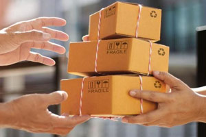 ���i�������݁E�l�b�g�w�����i