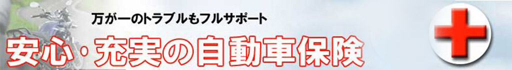 ���S�E�[���̎����ԕی�