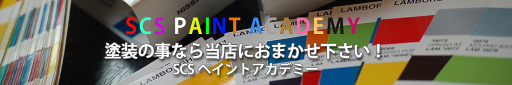 SCS �y�C���g�A�J�f�~�[