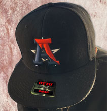 �A�|���W�b�N