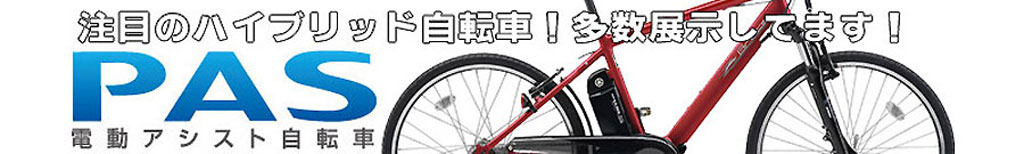 �d���A�V�X�g���]�� ���}�n�@PAS